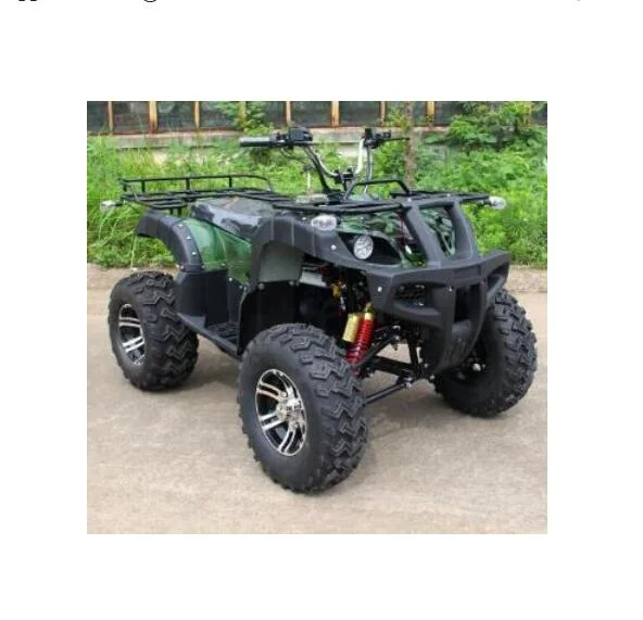 Hot 2000W Electric Adult ATV Quad Bike for Sale