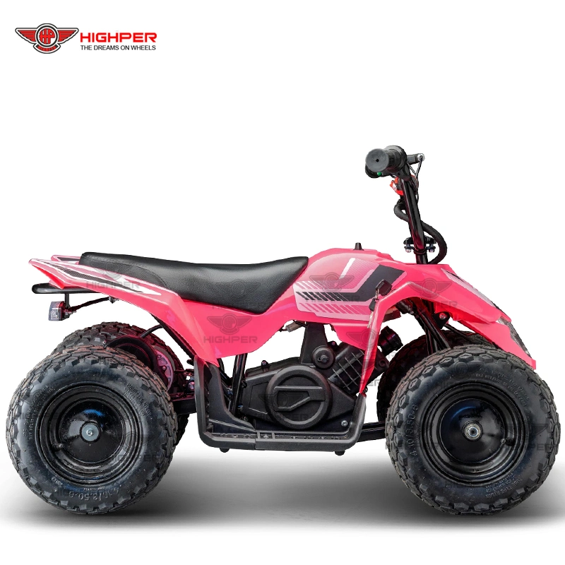 250W Brush Motor Electric Kids Mini Quad 4 Wheel ATV