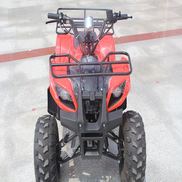 250cc Racing 3 Wheeler for Adults 48V 60cc Amphibious Vehicles ATV
