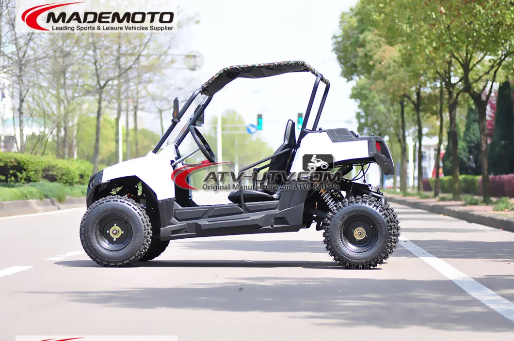 1500W 2000W 3000W 4000W 5000W Shaft Drive Electric UTV