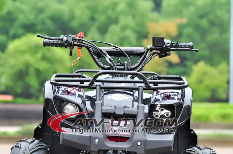 Street Legal 110cc 125cc 200cc 250cc Atvs Quad for Adults