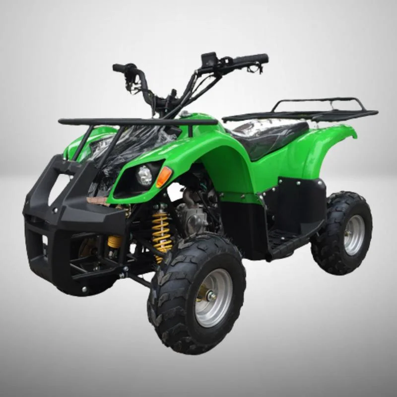 Children&prime;s 110cc Quad Bike