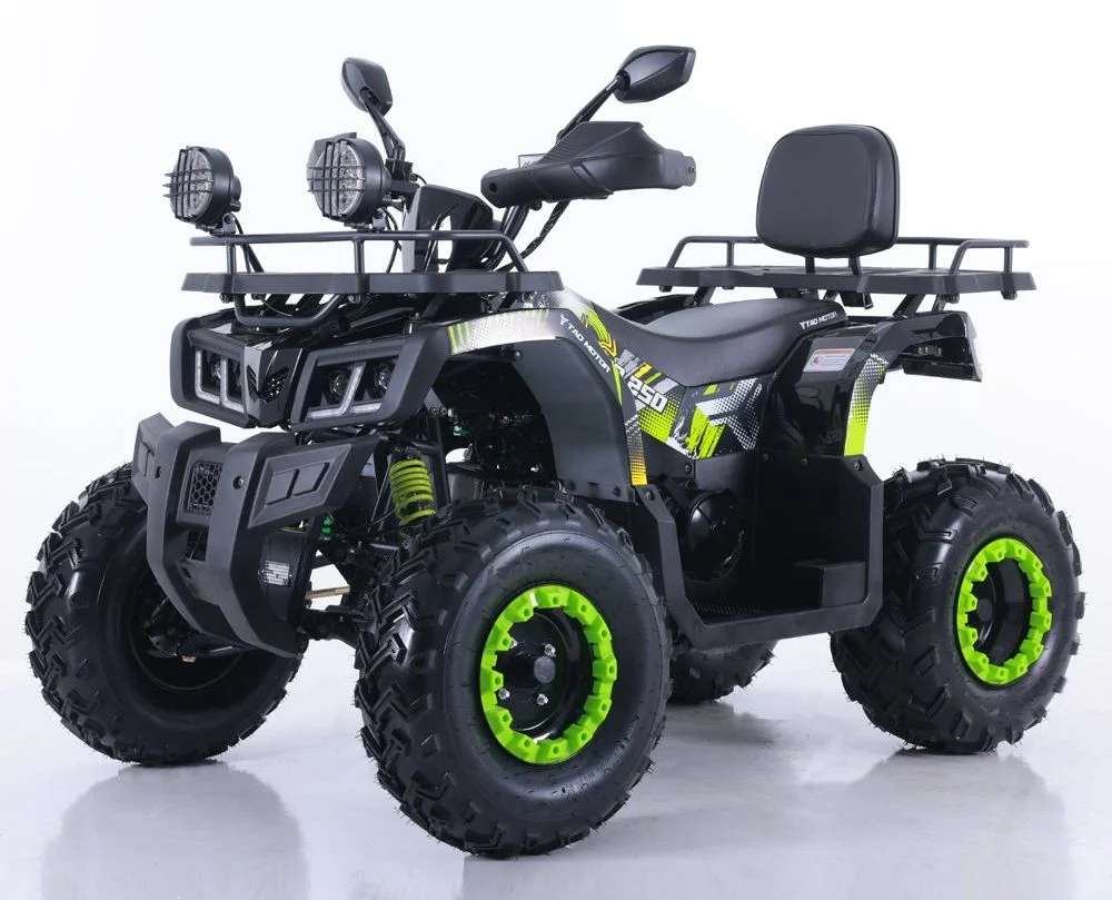 Tao Motor 2024 Quad Bike Motorbike Automatic 150cc 200cc ATV for Adults