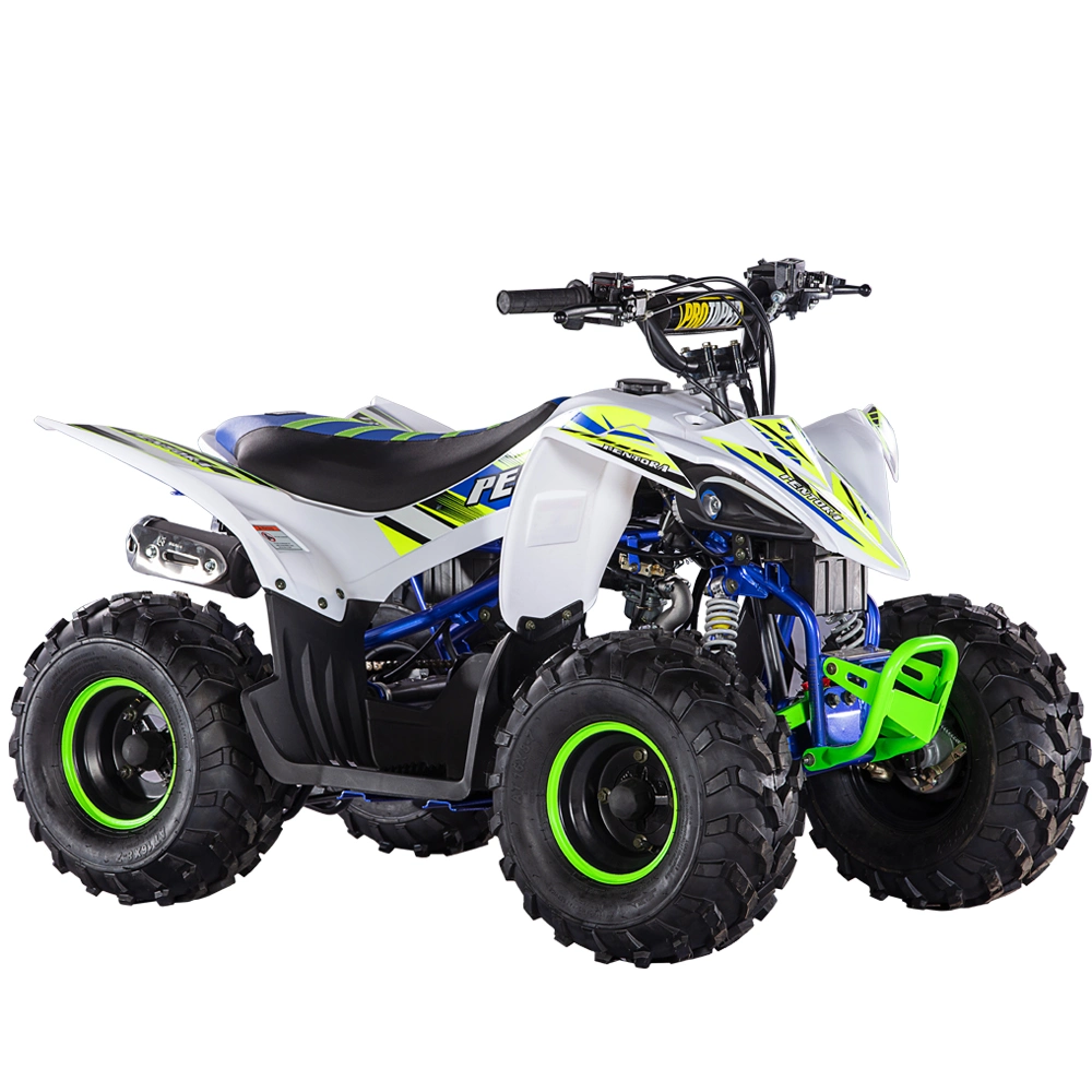 Mini Sport ATV 110cc Quad Bike for Child