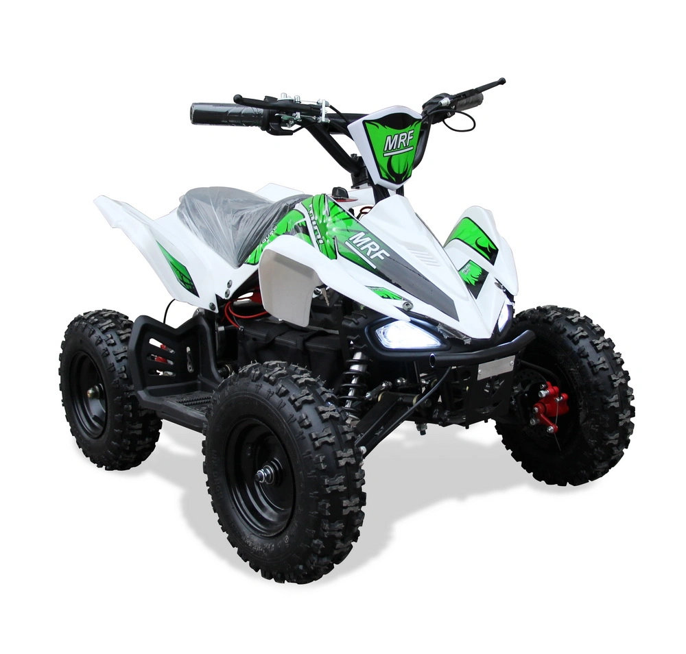 Childer New Style 500W Electric Mini ATV