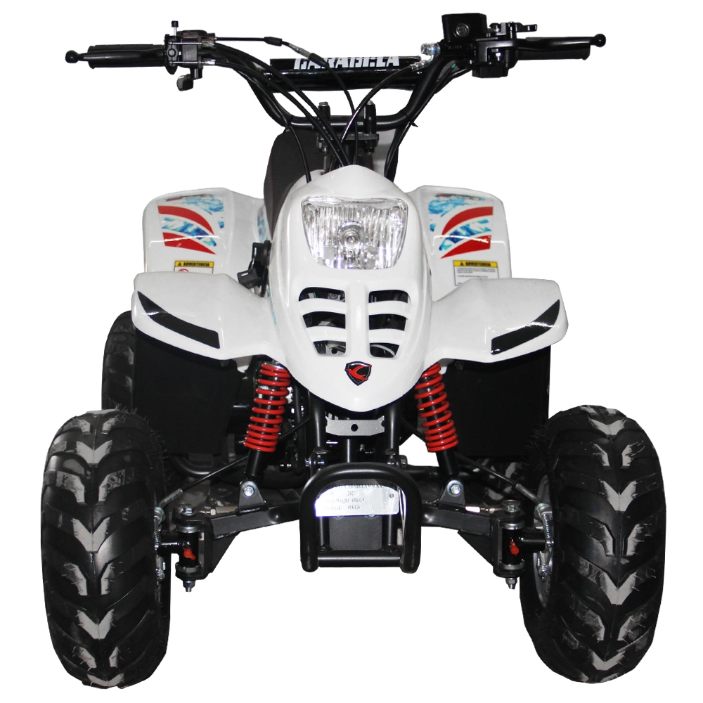 Mini ATV 90cc Quad Bike for Child