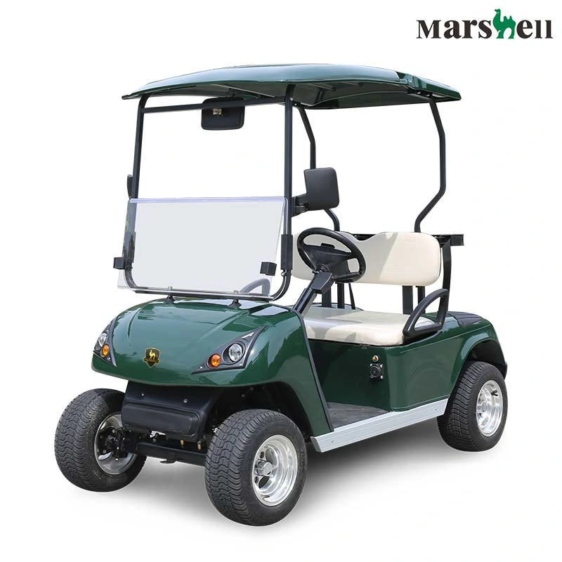 Wholesale New Two Person 42V/72V Small Mini 4 Wheel Cart Electric Car Golf Cart Electric Vehicle with 2 Seats Wind Shield Low Price for Sale (DG-C2-5)