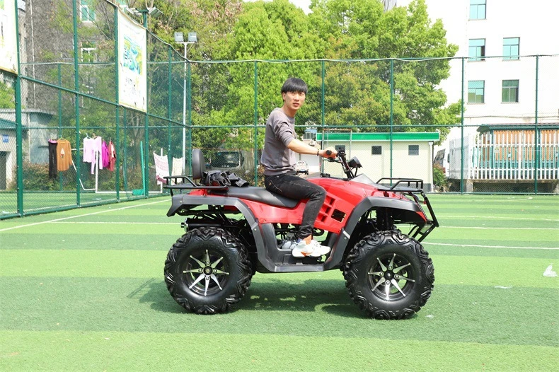 250cc Quad 125cc 150cc Bike 12 Reverse Gear 25 8 Tires for 4 Wheel 450cc Inch Rim Automatic Manual China 21X7-10 Tire 10 ATV