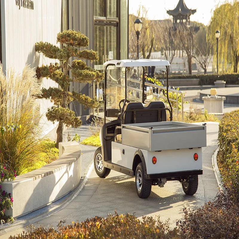 Hio EV 2-Passenger Utility Golf Cart with Aluminium Cargo Box