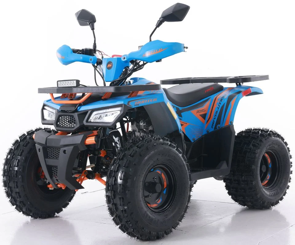 Tao Motor 2024 New Quad Bike Automatic Chain Drive 125cc ATV