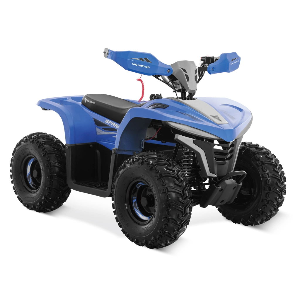 Quad Bike Dune Buggy Electric ATV Electric Quad for Kids