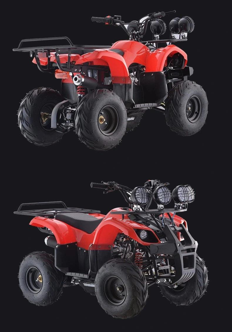 250cc 2 Stroke 800W 80cc Clothing Farmer Gas Powered Gun Rack Hub Motor Mini Petrol Quad for Sale Storage Tire 20X10 10 ATV