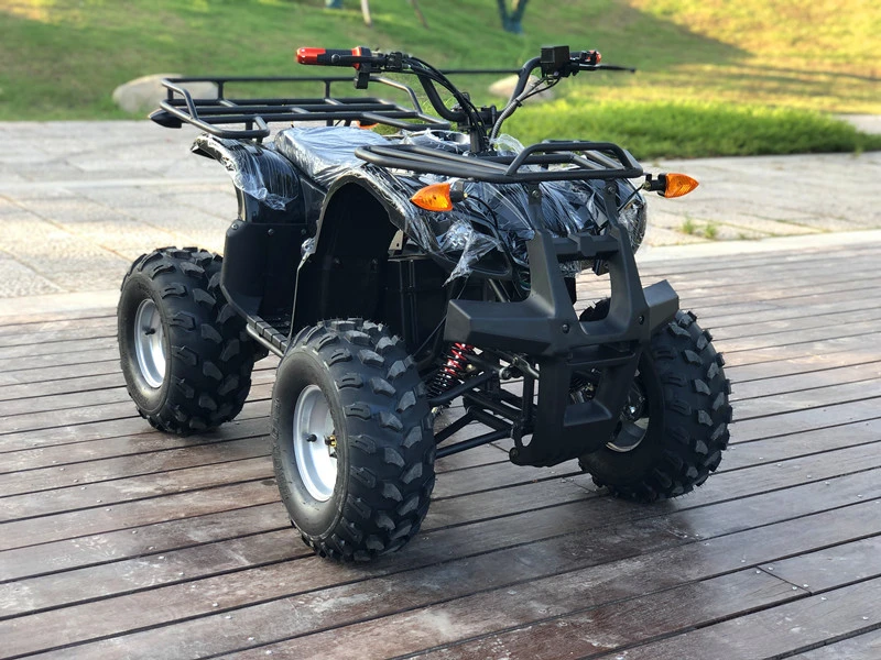 Terrain off-Road ATV 48V750W Electric Quad Bike ATV