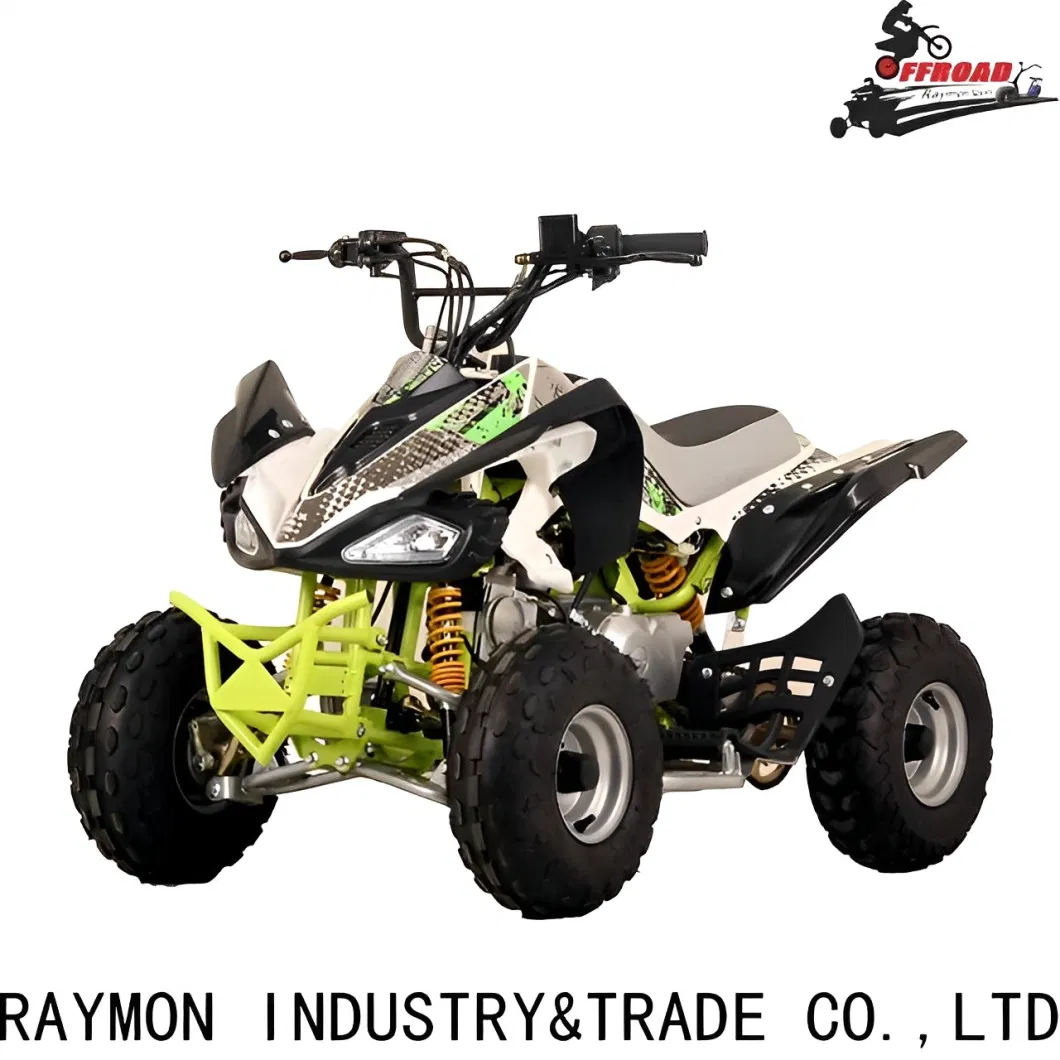 ATV Bike Adults Dune Buggy 110cc Motorcycle Street Legal for Adults