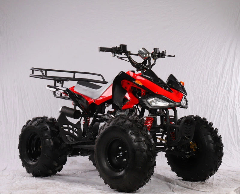 Hot Sale Chinese ATV Brand off Road Dune Buggy Truck 125cc Power Engine ATV