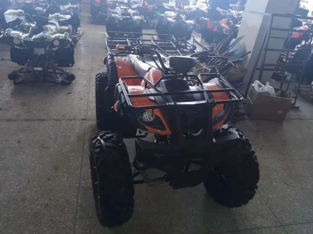 12inch Wide Alloy Wheel 250cc Powerful 4X2 ATV Quad