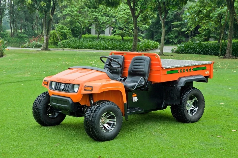 UTV 4 X4 Side by Side All Terrain Vehicle (ATV) Farming Battery Voltage and Electric Fuel Type Utility Cart