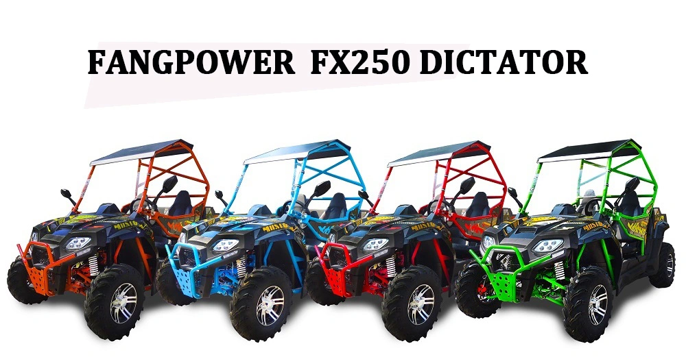 Popular Chinese Electric Start Adult Cheap UTV Road Legal Utility Vehicle 250cc UTV