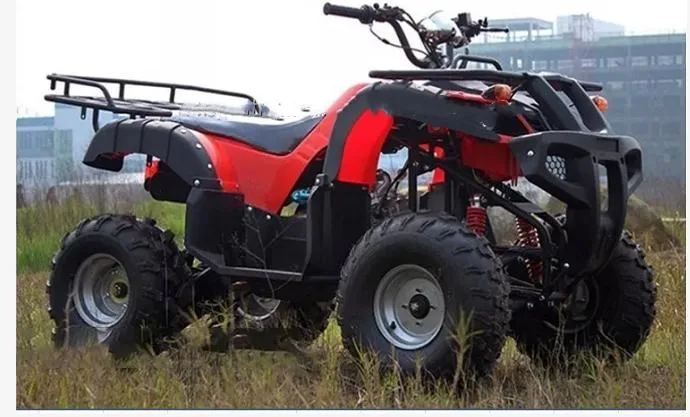 Electric Quad Bike for Adult Farmer ATV