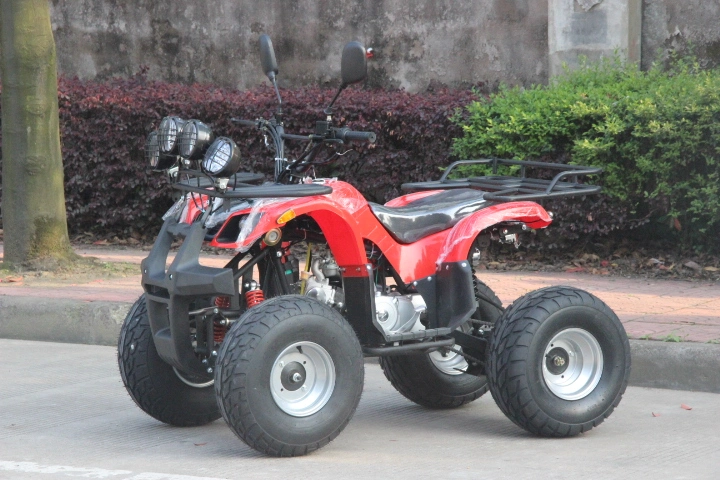 50cc-125cc ATV Quads with Front&Back Lights (ET-ATV004)