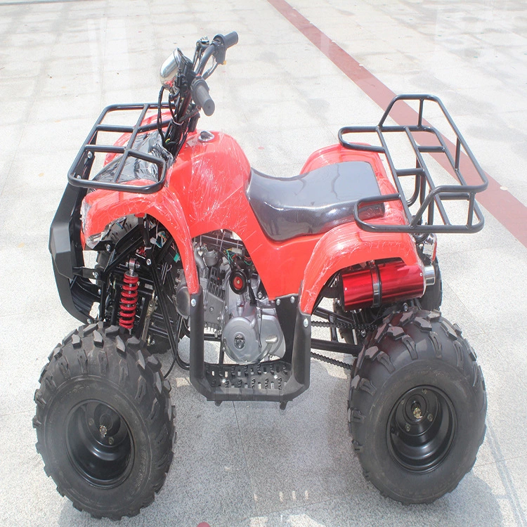 250cc Racing 3 Wheeler for Adults 48V 60cc Amphibious Vehicles ATV