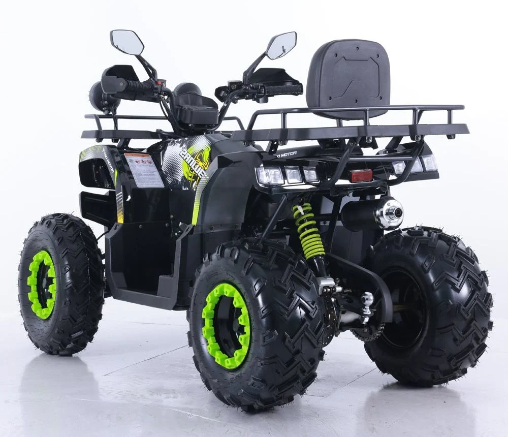 Tao Motor 2024 Quad Bike Motorbike Automatic 150cc 200cc ATV for Adults