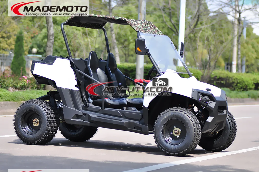 1500W 2000W 3000W 4000W 5000W Shaft Drive Electric UTV