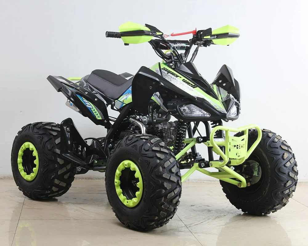 Upbeat 110cc/125cc Mini Farm ATV Cheap Quad Bike