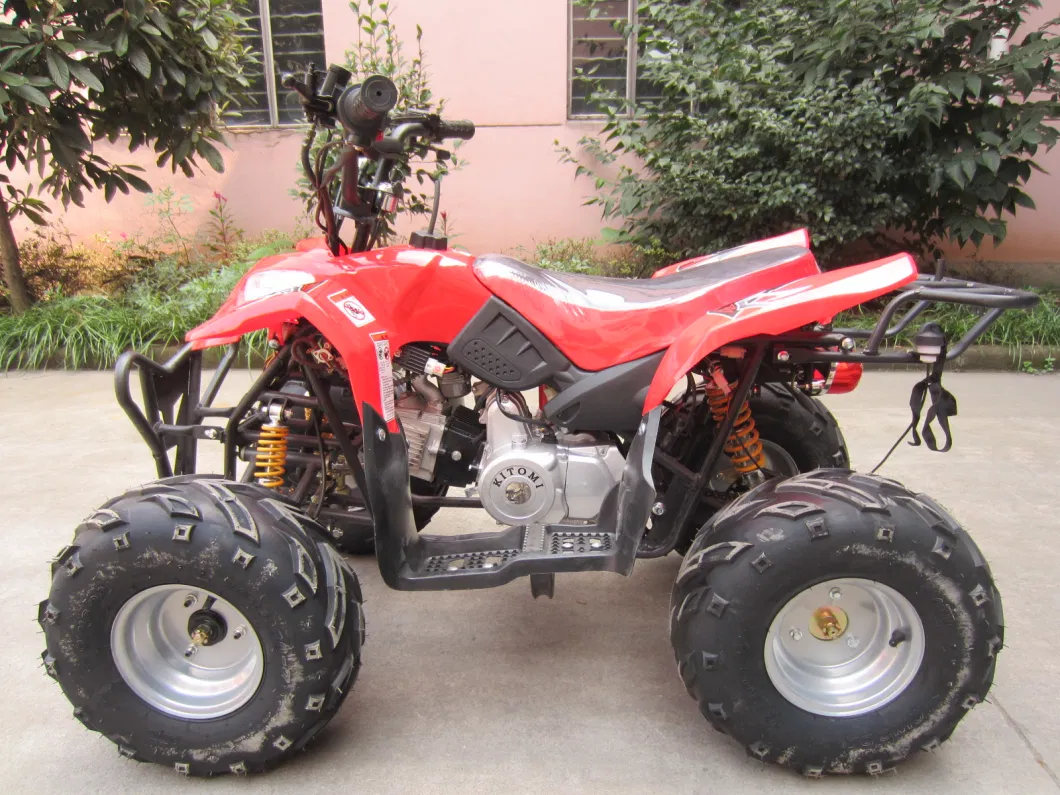 50cc-110cc ATV Quads Can with 7ah Big Electric Start Battery (ET-ATV014)