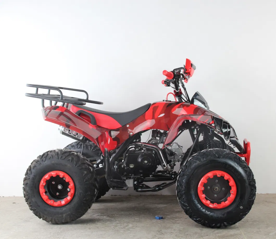 110cc/125cc ATV Quad Bike Hot Sales