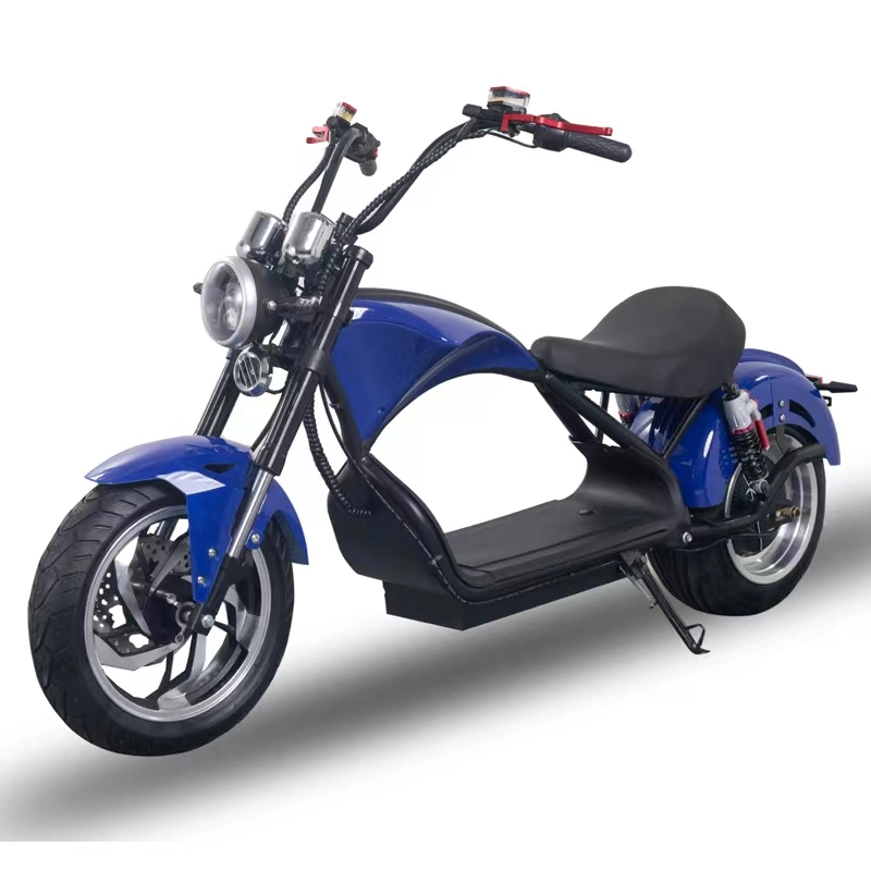 New Adult Fashionable Electric Scooter for Sale Two Wheeled Motorcycle 1500W Rated Motor