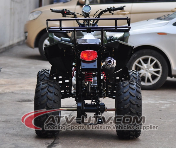 EEC 110cc 125cc 150cc 200cc 250cc 350cc 4X4 Air Cooling Adult Dune Buggy ATV Quad Bike Price