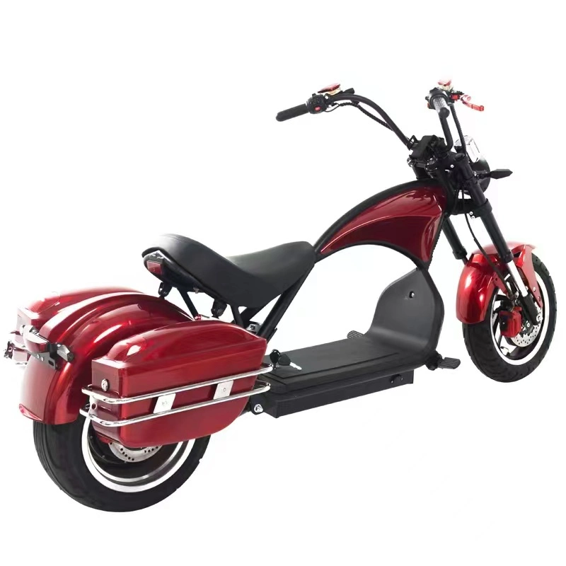 New Adult Fashionable Electric Scooter for Sale Two Wheeled Motorcycle 1500W Rated Motor