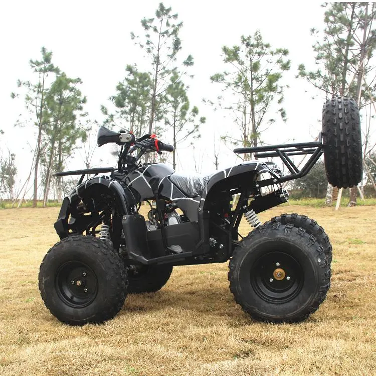 Small off-Road ATV 125cc Motorcycle 110cc Gasoline Adult &amp; Kids Four-Wheel 125cc Mini ATV