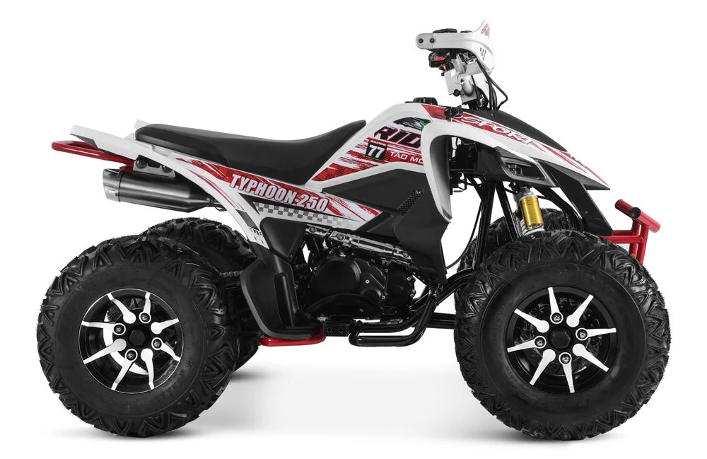 Tao Motor 2024 Latest Design 250cc Quad Bike Sport ATV