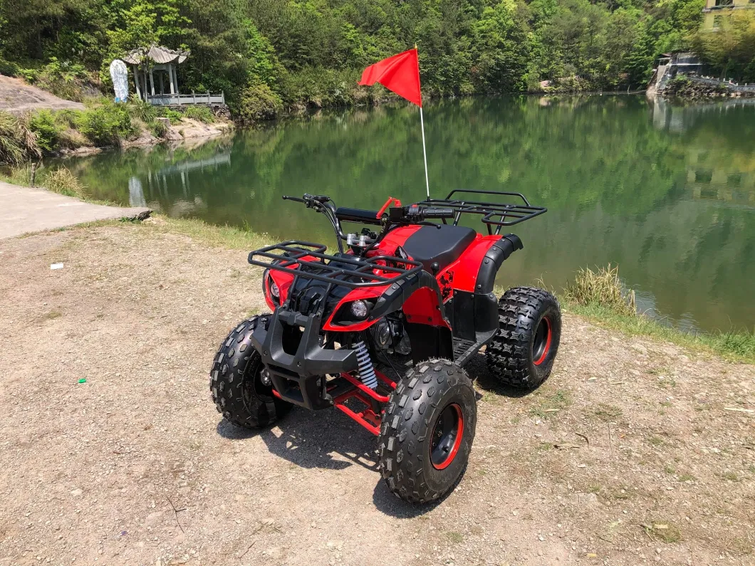 Fangpower 125cc 200cc ATV Quad Bikes 4 Wheeler Road Legal Kids Adults Automatic ATV