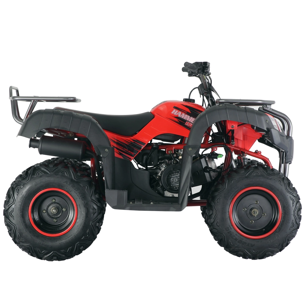 2022 New Hot Sale 180cc Hammer Adults Atvs 4 Wheels Racing ATV