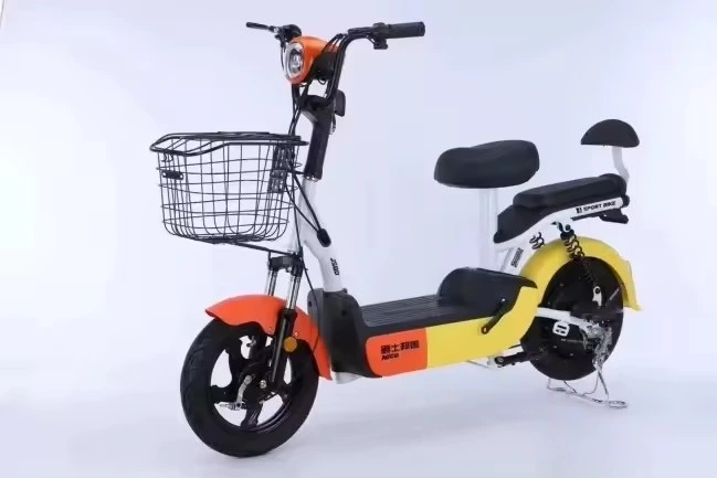 Urban Leisure Electric Vehicle 48V Two Wheeled Adult Electric Vehicle, Two Person Portable Electric Scooter, Electric Bicycle