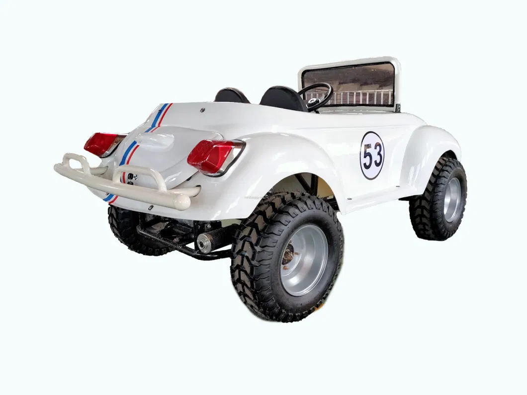 Electric Mini Beetle 4 Wheeler for Kids Electric ATV Quad for Youth Children Battery Motor Power 1500W with CE