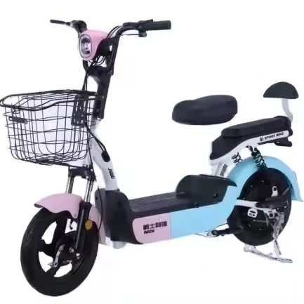 Urban Leisure Electric Vehicle 48V Two Wheeled Adult Electric Vehicle, Two Person Portable Electric Scooter, Electric Bicycle