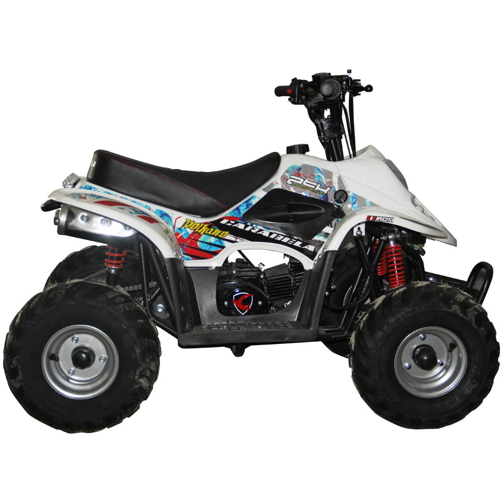 Mini ATV 90cc Quad Bike for Child