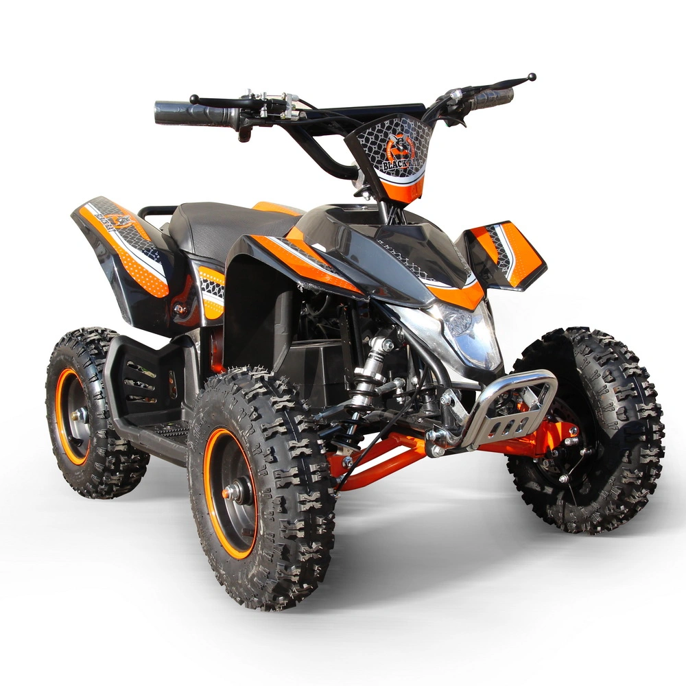 Children&prime;s ATV 800W Shock-Proof 3rd Shift Scenic Quad Bike