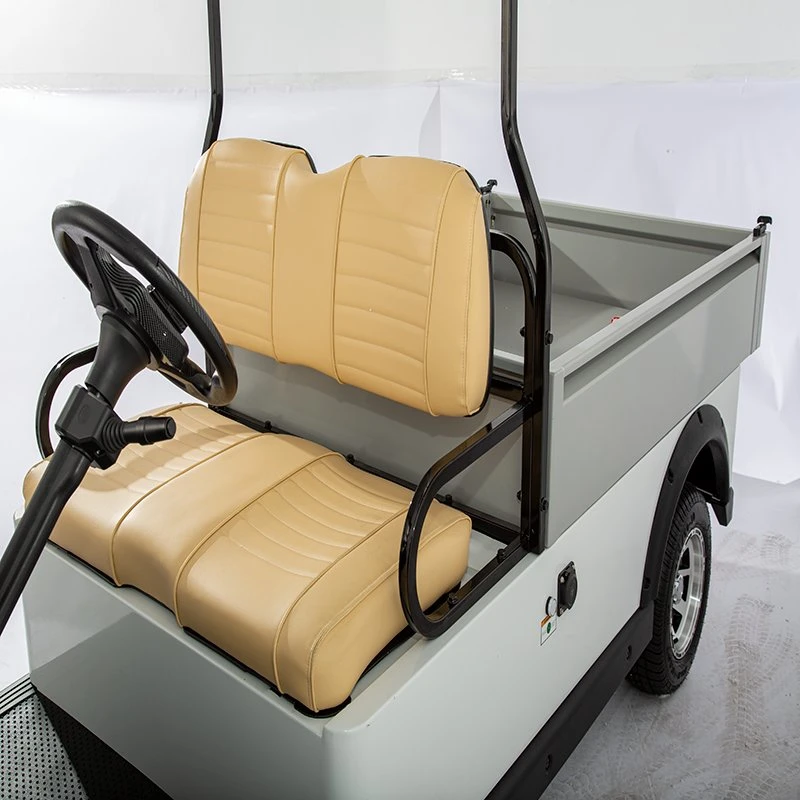 Hio EV 2-Passenger Utility Golf Cart with Aluminium Cargo Box