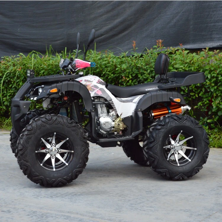 12inch Wide Alloy Wheel 250cc Powerful 4X2 ATV Quad