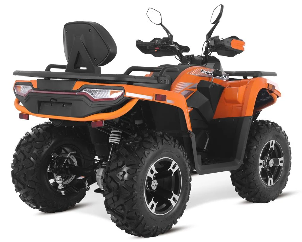 Tao Motor 2024 New EEC T3b Certificated Shaft Driving Farm Use Quad Bike 300cc ATV