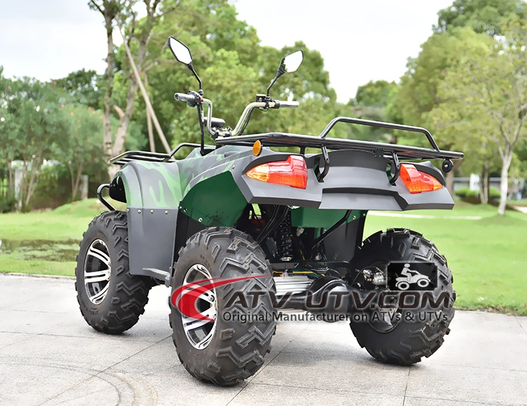 4000W 5000W 6000W Amphibious Electric Adult ATV Quads Prices