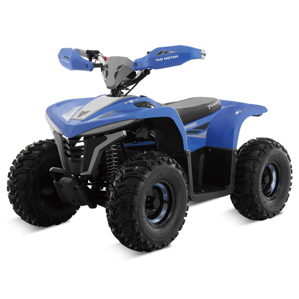 Quad Bike Dune Buggy Electric ATV Electric Quad for Kids