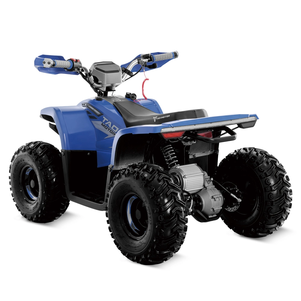 Quad Bike Dune Buggy Electric ATV Electric Quad for Kids