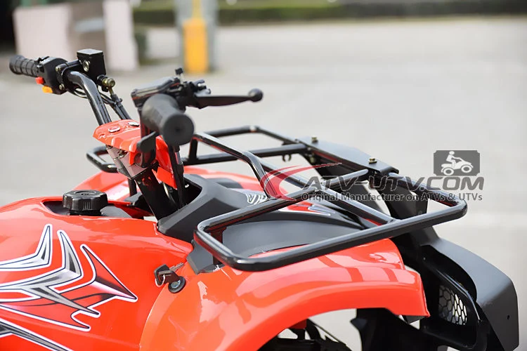 China Factory Good Selling 50cc 70cc 90cc 110cc Japanese ATV Wholesale with Best Factory Cheap Prices