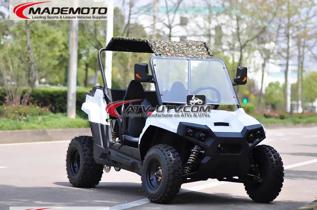 1500W 2000W 3000W 4000W 5000W Shaft Drive Electric UTV